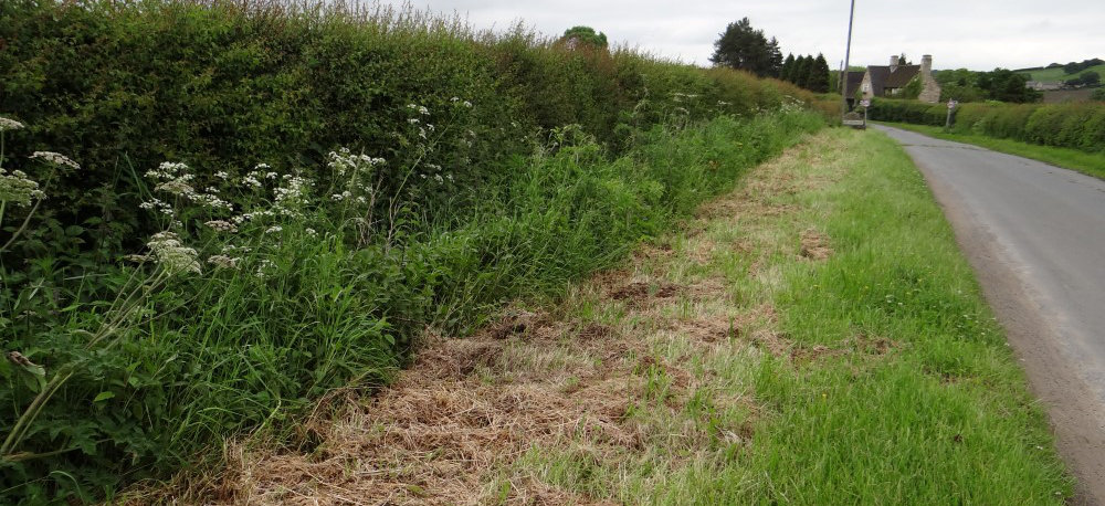 Verges After Cutting Has Taken Place