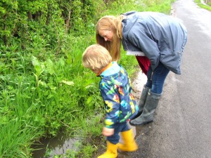 .... a close inspection of a roadside verge !