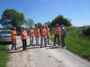 Trust members examining well managed wild flower verges in Lincolnshire.