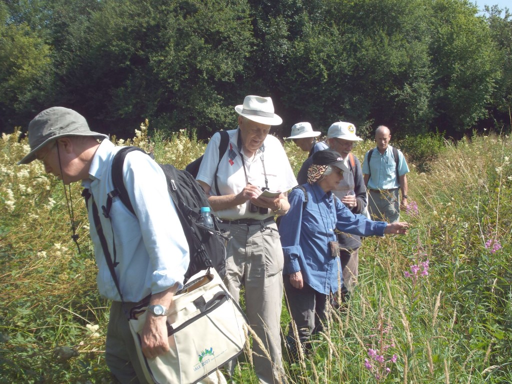 Leeds Naturalists have a guided visit to the Ellikers and Keswick Marsh.