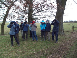 Trust members watching Grey-lag Geese at a local pond.