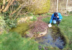 Pond dipping