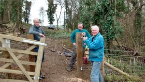 Pedestrian gate in progress