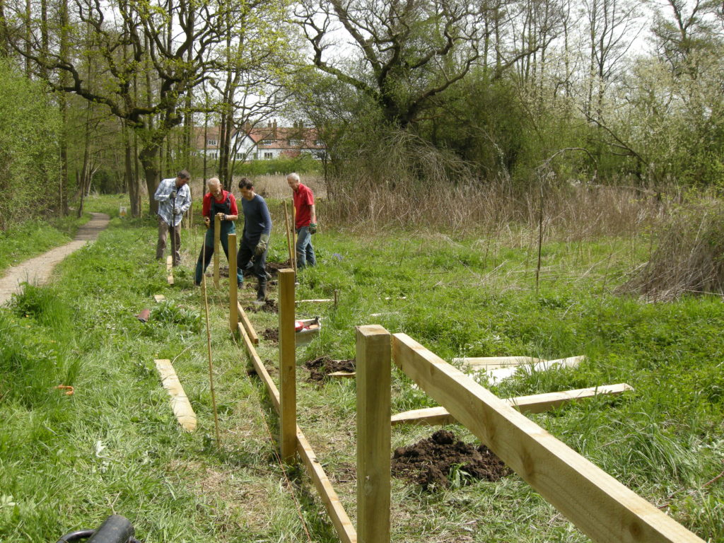 Fencing in progress in the Marsh so that livestock can be used later in the year to graze overwhelming vegetation.