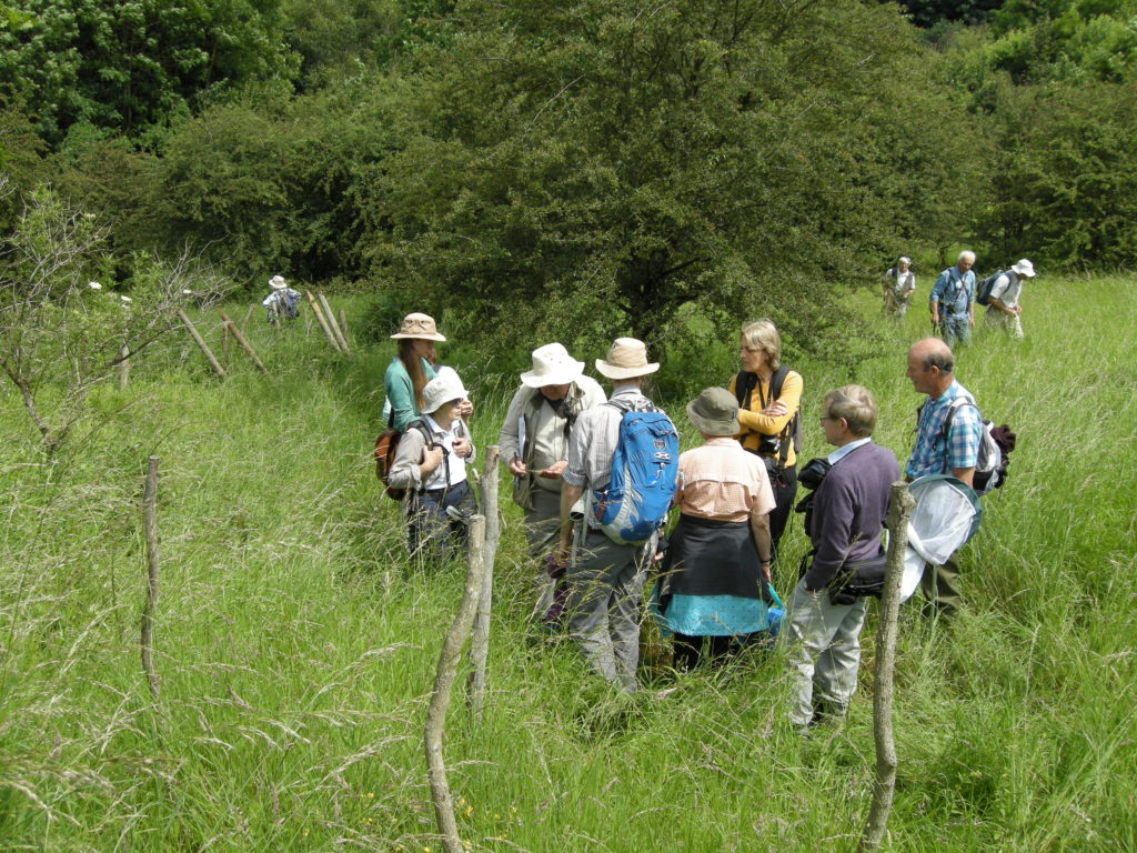 Doncaster Naturalists visited East Keswick to see our Thistle Brromrape and Herb Paris.