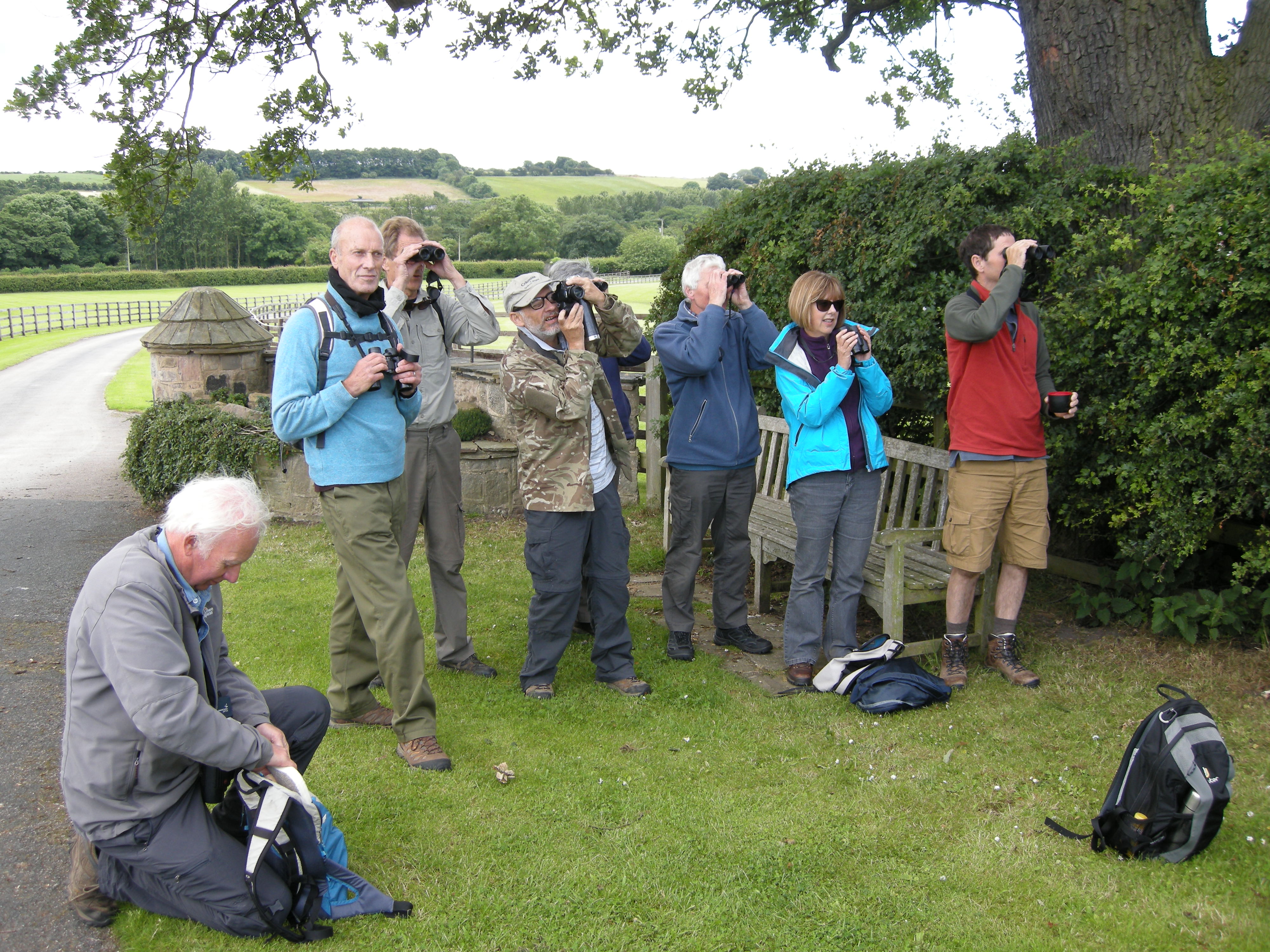 The Summer Bird Survey saw a total of 44 bird species on the day. These included wonderful views of Yellow Hammers and Grey Wagtails. 