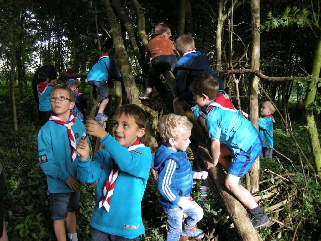 The local Beavers having fun in Elliker Wood