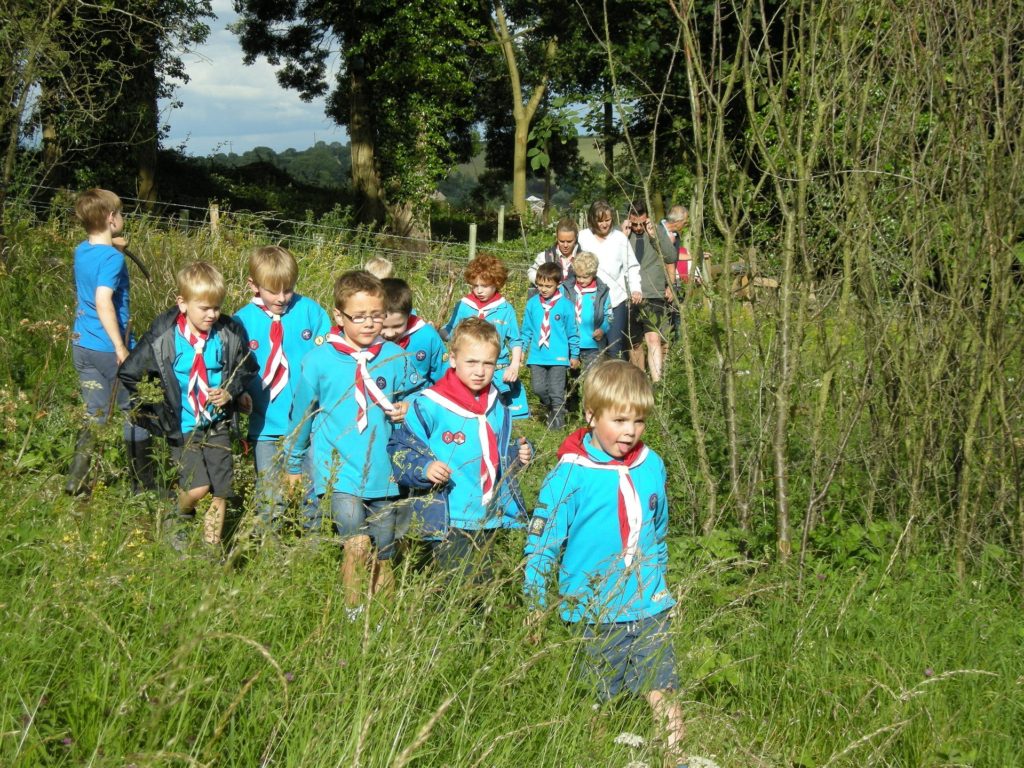 The local Beavers in Elliker Field