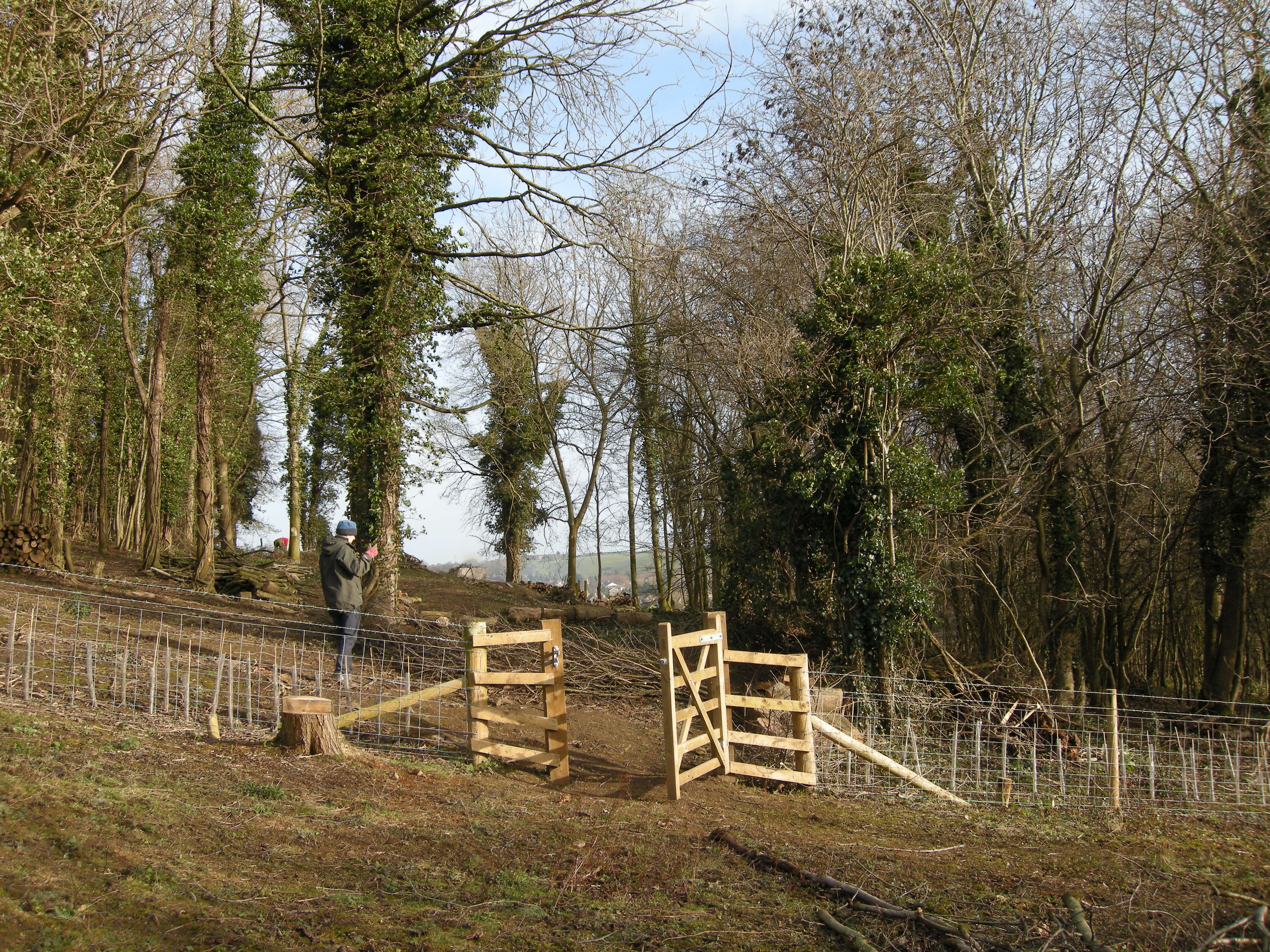 Looking from Elliker Field through to Elliker Wood